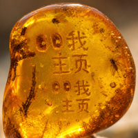 琥珀时光