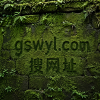 苔藓石墙